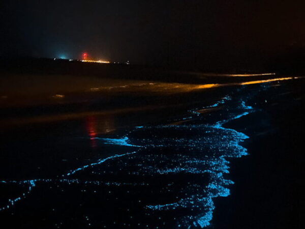 7 beaches across world that glow during night
