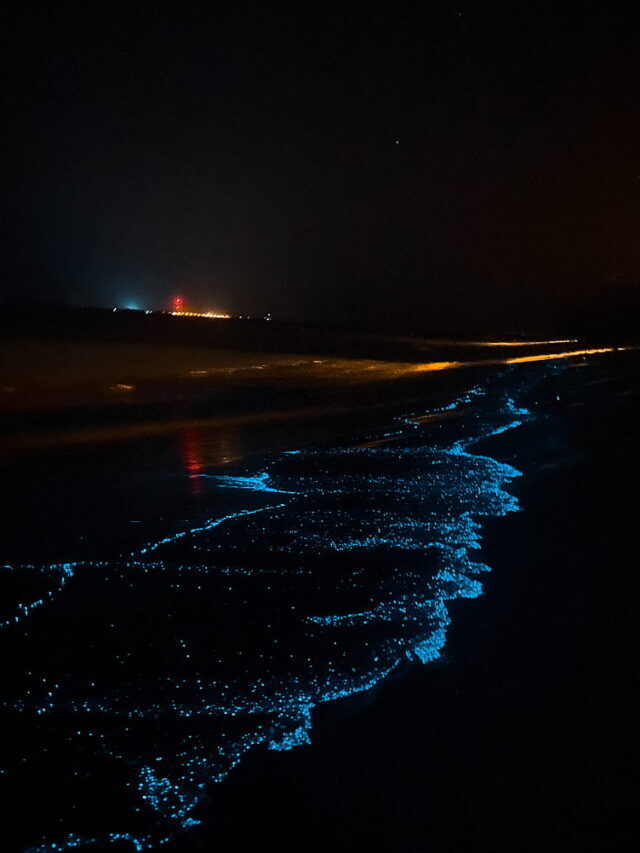 7 beaches across world that glow during night