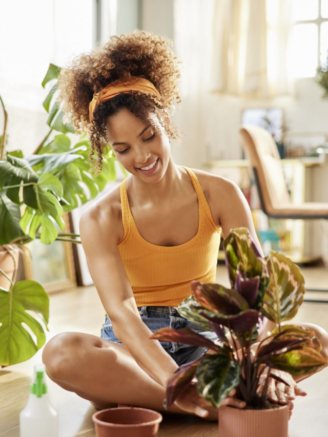 7 Lucky Plants That Bring Health And Fortune