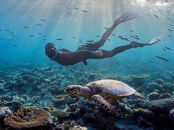 Best Scuba Diving Places in the World