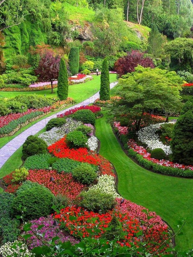 Top 10 Most Beautiful gardens of India