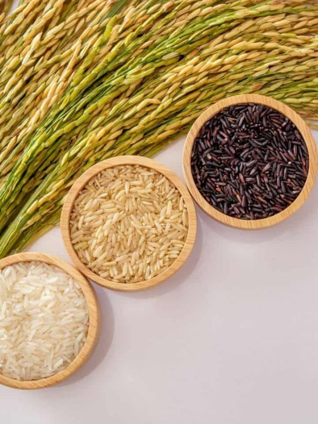 10 Most Expensive Rice Varieties in India