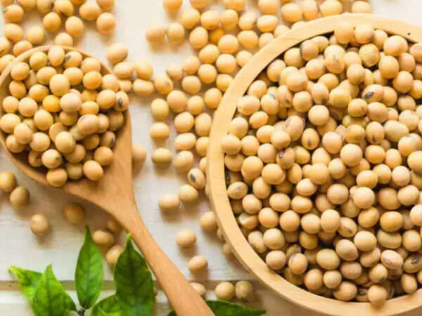 10 health benefits of eating soybean