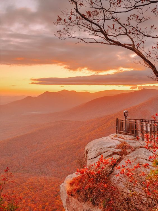 10 Best Places to visit in South Carolina