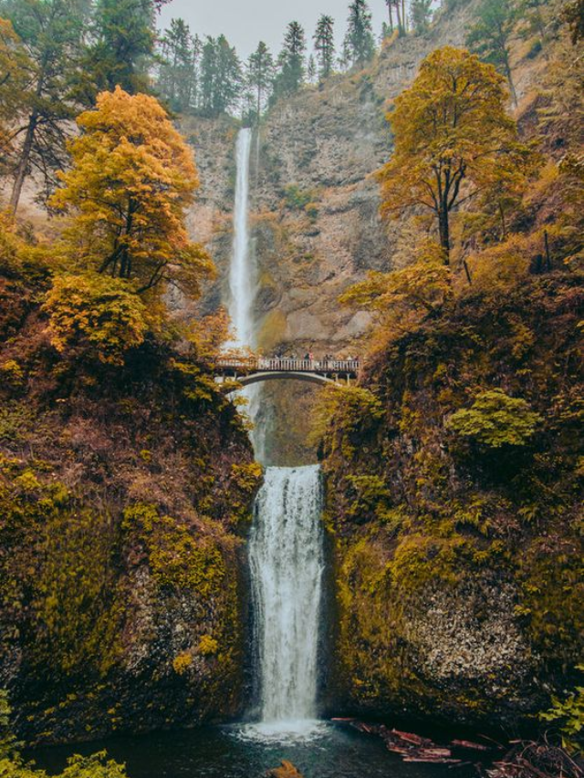 10 Best Places to visit in Oregon