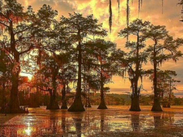 10 Best Places to visit in Louisiana