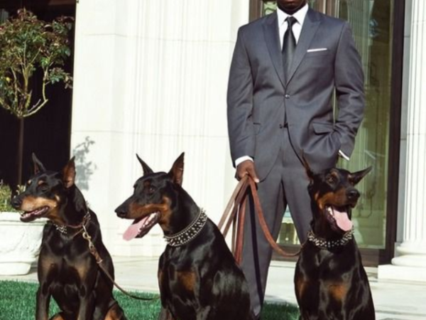 Wealthiest Pets in the World