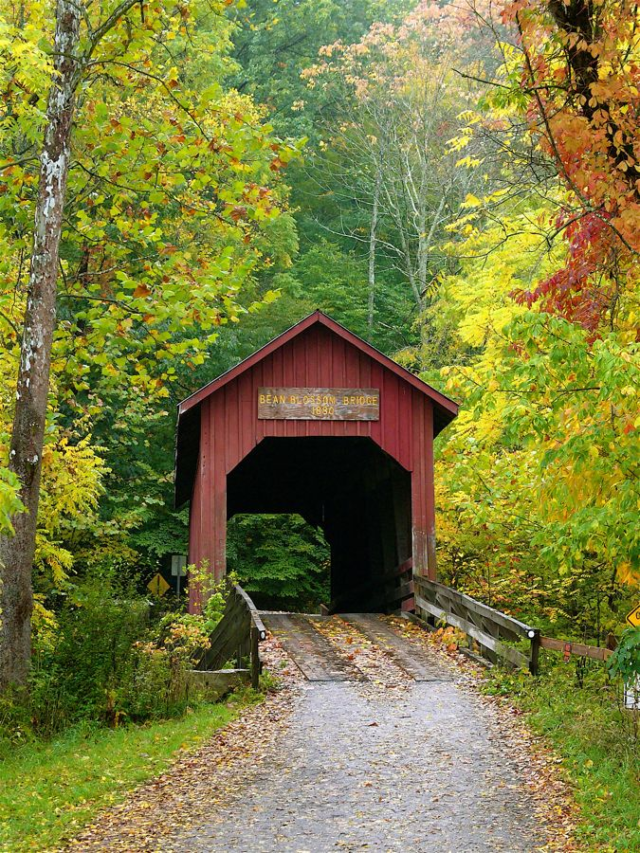 10 Picturesque Covered Bridges to Discover in USA