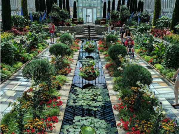 10 Peaceful Botanical Gardens for Relaxation in USA