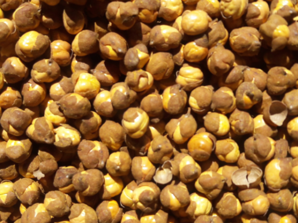 Daily Benefits of Eating Roasted Chana
