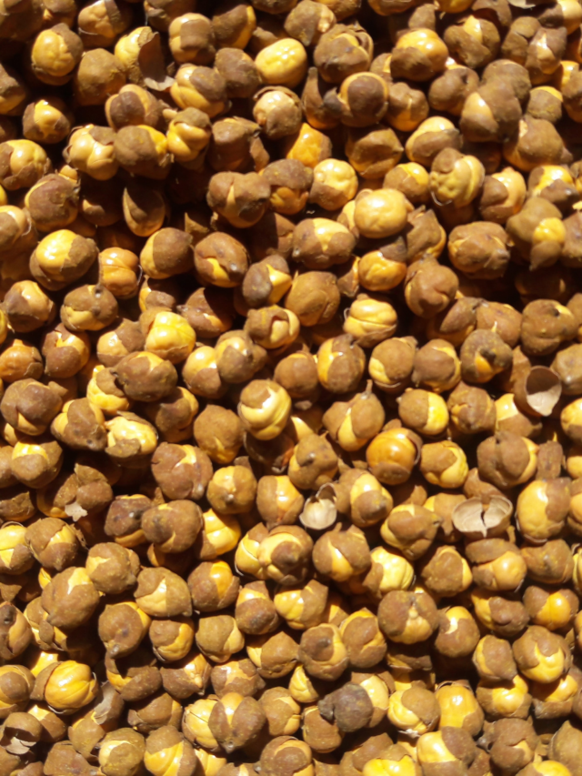 Daily Benefits of Eating Roasted Chana
