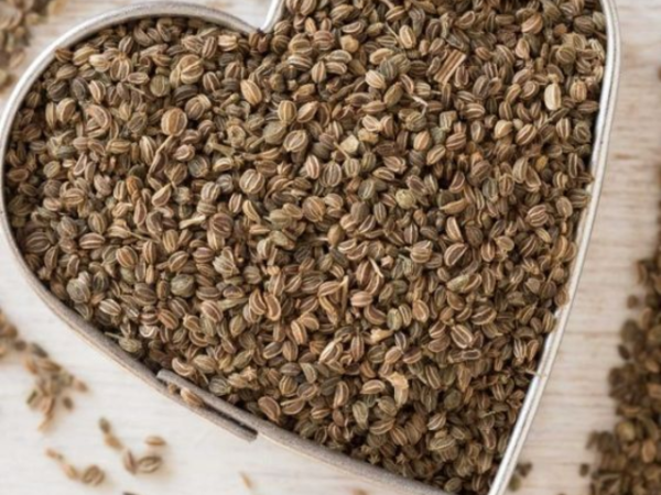 5 Effective Ways to Use Ajwain (Carom Seeds) for Rapid Weight Loss