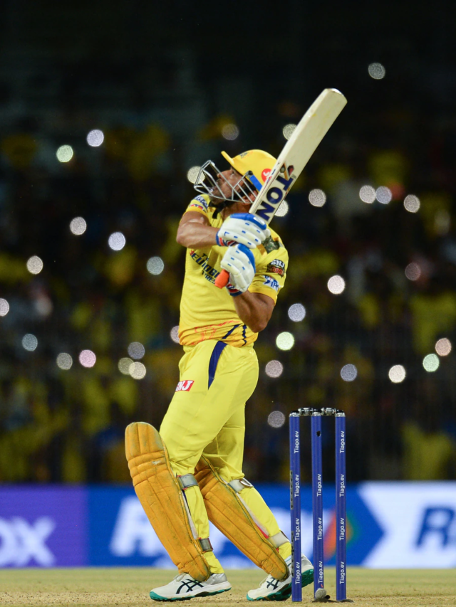 Parrots Owned by Dhoni Soar Past IPL Bowler