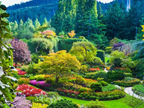 10 Beautiful Botanical Gardens to Explore