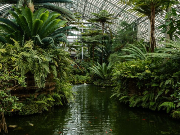 10 Breathtaking Botanical Gardens to Visit