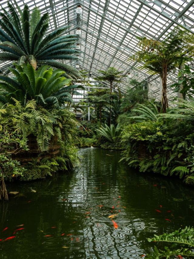 10 Breathtaking Botanical Gardens to Visit
