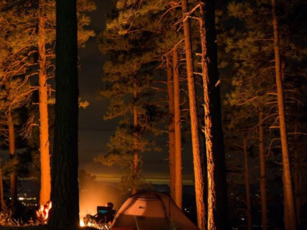 10 Family-Friendly Campgrounds for Outdoor Adventures