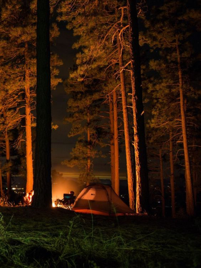 10 Family-Friendly Campgrounds for Outdoor Adventures