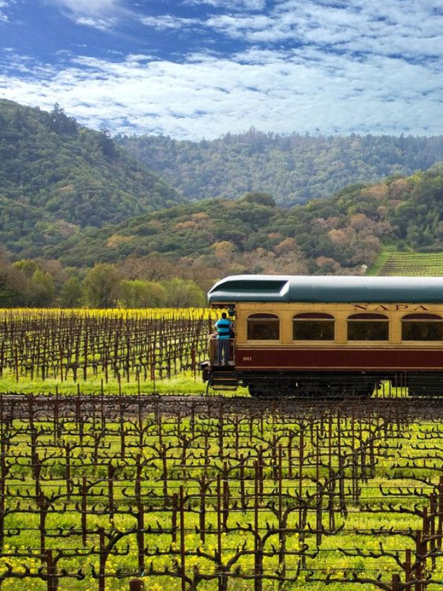 Top 10 Wine Tasting Experiences in Napa Valley