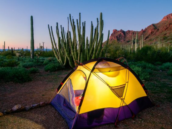 10 Top-Rated Family-Friendly Campgrounds for Outdoor Adventures in the USA