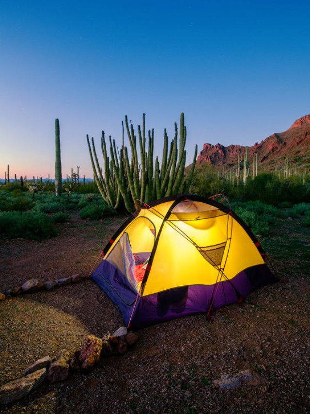 10 Top-Rated Family-Friendly Campgrounds for Outdoor Adventures in the USA