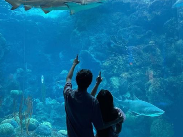 Discover 10 Fascinating Aquariums Worth Visiting