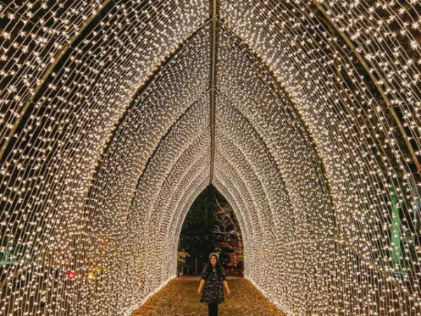 10 Magical Christmas Light Displays You Must See