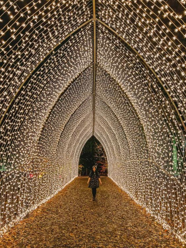 10 Magical Christmas Light Displays You Must See