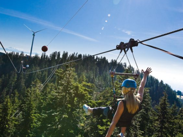 10 Exciting Zip Line Adventures You Must Try